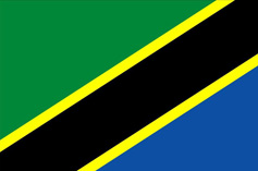 ̹ɣ�၆���C